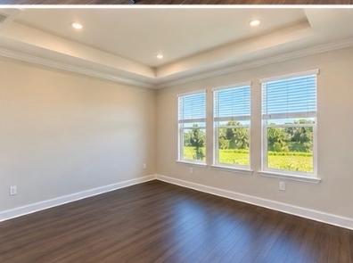 Dining room with tray ceiling and three windows overlooking greenery