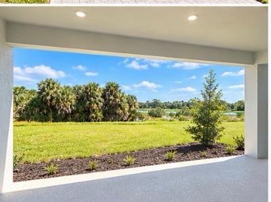 View from the covered lanai across the backyard to preserved green space and palms