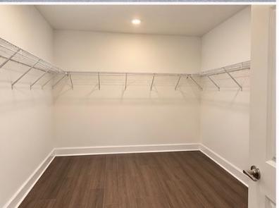 Large walk-in closet with shelving and wood-look flooring